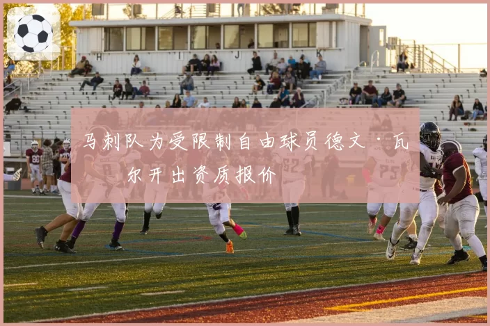 马刺队为受限制自由球员德文·瓦塞尔开出资质报价