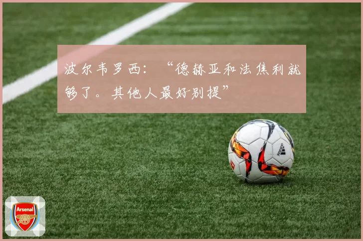 波尔韦罗西：“德赫亚和法焦利就够了。其他人最好别提”