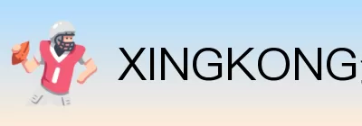 XINGKONG登录 Logo